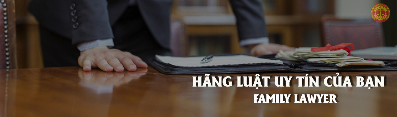 Tư vấn luật pháp cho công dân Việt Nam